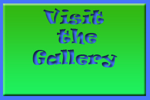 Visit the Gallery